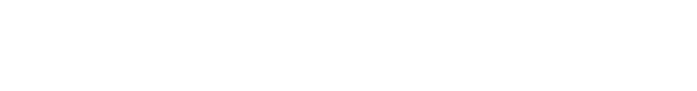 101の強み