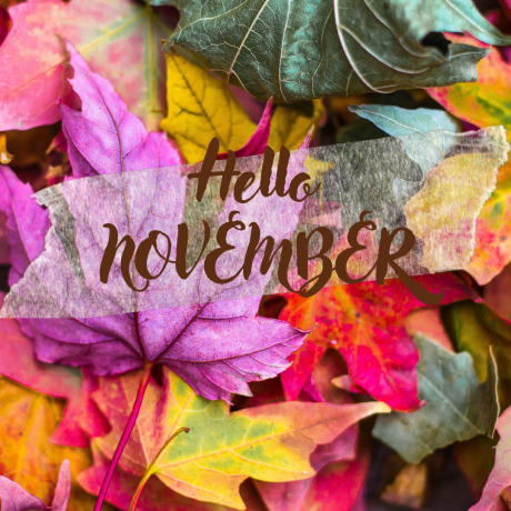 NOVEMBER