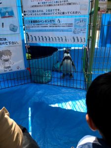 ｍｉｎｉ動物園