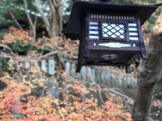神戸　板宿八幡神社　初詣